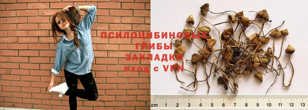 Альфа ПВП Армянск