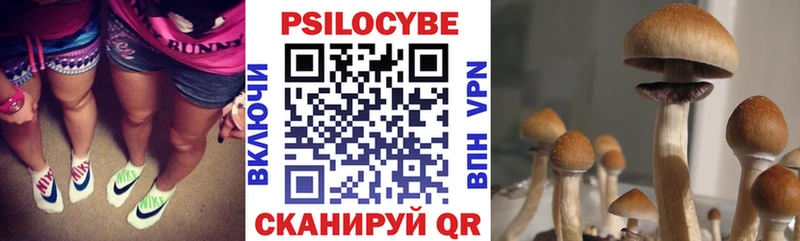 Галлюциногенные грибы мицелий  Белово 